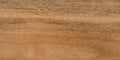 Spotted gum