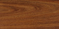Tasmanian Blackwood